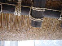 クリックすると大きな画像が出てきます。