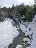 クリックすると大きな画像が出てきます。