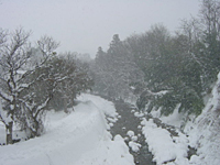 クリックすると大きな画像が出てきます。