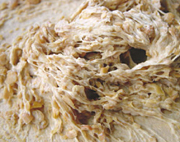 クリックすると大きな画像が出てきます。