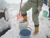 クリックすると大きな画像が出てきます。