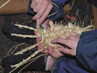 クリックすると大きな画像が出てきます。