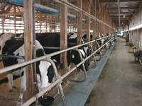 クリックすると大きな画像が出てきます。