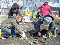 クリックすると大きな画像が出てきます。