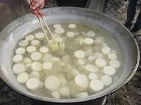 クリックすると大きな画像が出てきます。