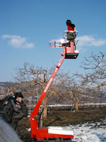 クリックすると大きな画像が出てきます。