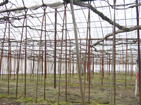 クリックすると大きな画像が出てきます。