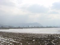 クリックすると大きな画像が出てきます。