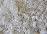 クリックすると大きな画像が出てきます。