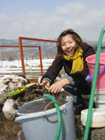 クリックすると大きな画像が出てきます。