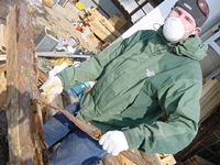 クリックすると大きな画像が出てきます。