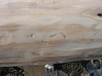 クリックすると大きな画像が出てきます。