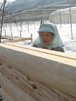 クリックすると大きな画像が出てきます。