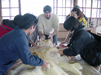 クリックすると大きな画像が出てきます。