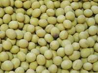 クリックすると大きな画像が出てきます。