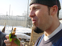 クリックすると大きな画像が出てきます。