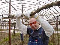 クリックすると大きな画像が出てきます。