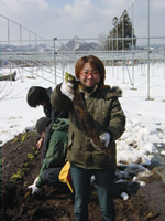 クリックすると大きな画像が出てきます。