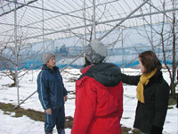 クリックすると大きな画像が出てきます。