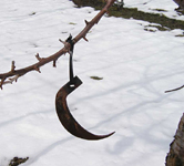 クリックすると大きな画像が出てきます。