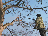 クリックすると大きな画像が出てきます。