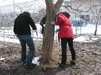 クリックすると大きな画像が出てきます。