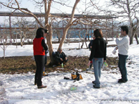 クリックすると大きな画像が出てきます。