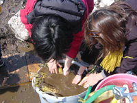 クリックすると大きな画像が出てきます。