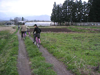 クリックすると大きな画像が出てきます。