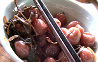 クリックすると大きな画像が出てきます。