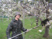 クリックすると大きな画像が出てきます。