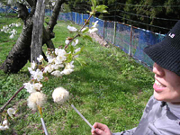 クリックすると大きな画像が出てきます。