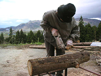 クリックすると大きな画像が出てきます。