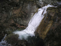 クリックすると大きな画像が出てきます。