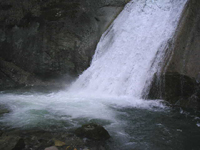 クリックすると大きな画像が出てきます。