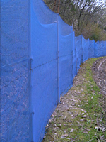 クリックすると大きな画像が出てきます。