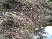 クリックすると大きな画像が出てきます。