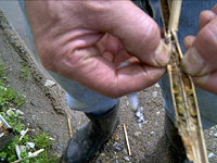 クリックすると大きな画像が出てきます。