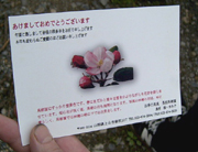 クリックすると大きな画像が出てきます。