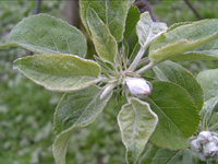 クリックすると大きな画像が出てきます。