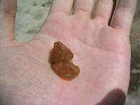 クリックすると大きな画像が出てきます。