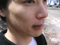 クリックすると大きな画像が出てきます。