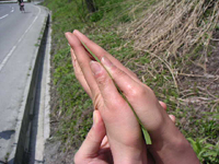 クリックすると大きな画像が出てきます。