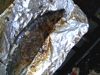 クリックすると大きな画像が出てきます。