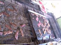 クリックすると大きな画像が出てきます。