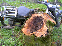 クリックすると大きな画像が出てきます。