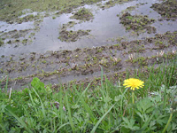 クリックすると大きな画像が出てきます。