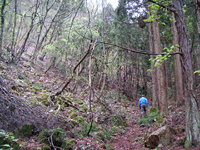 クリックすると大きな画像が出てきます。