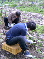 クリックすると大きな画像が出てきます。