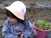 クリックすると大きな画像が出てきます。